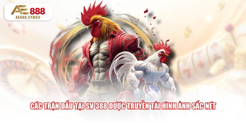Các trận đấu tại SV 388 được truyền tải hình ảnh sắc nét