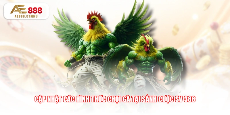 Cập nhật các hình thức chọi gà tại sảnh cược SV 388