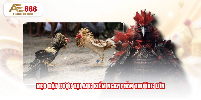 Mẹo đặt cược tại AOG kiếm ngay phần thưởng lớn