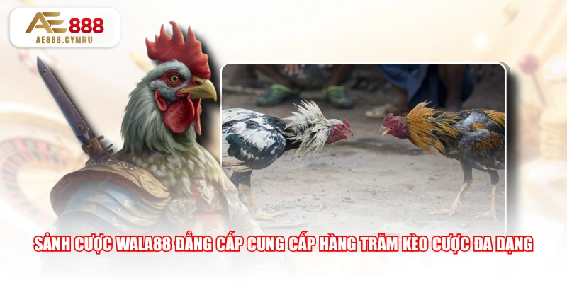 Sảnh cược WALA88 đẳng cấp cung cấp hàng trăm kèo cược đa dạng