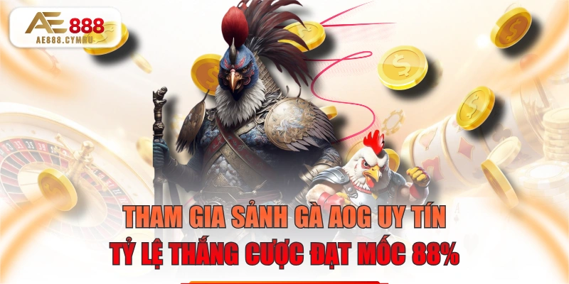 Tham Gia Sảnh Gà AOG Uy Tín Tỷ Lệ Thắng Cược Đạt Mốc 88%