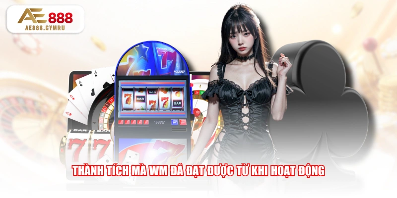Thành tích mà WM đã đạt được từ khi hoạt động