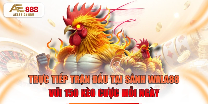 Trực Tiếp Trận Đấu Tại Sảnh WALA88 Với 150 Kèo Cược Mỗi Ngày