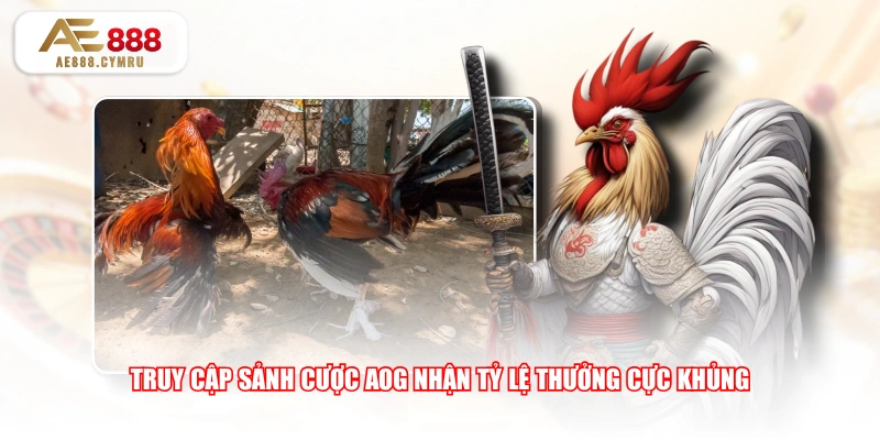 Truy cập sảnh cược AOG nhận tỷ lệ thưởng cực khủng